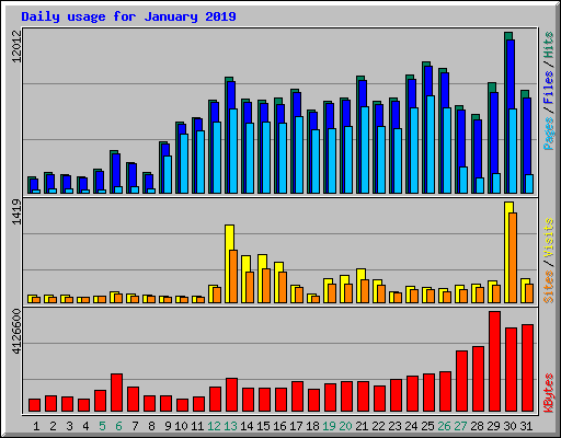 Daily usage for January 2019