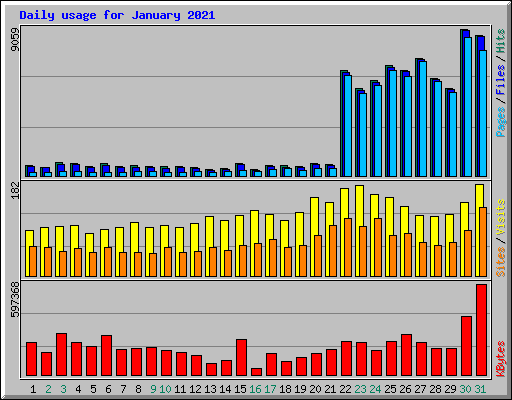 Daily usage for January 2021