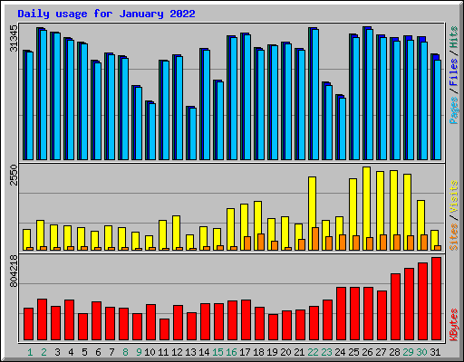 Daily usage for January 2022