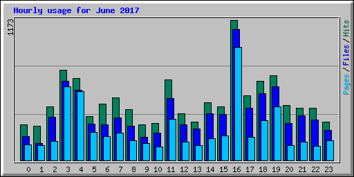 Hourly usage for June 2017