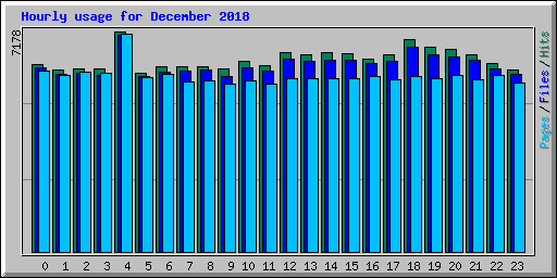 Hourly usage for December 2018