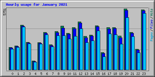 Hourly usage for January 2021