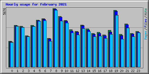 Hourly usage for February 2021