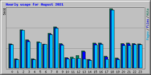 Hourly usage for August 2021