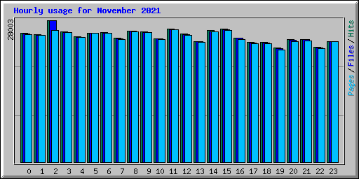 Hourly usage for November 2021